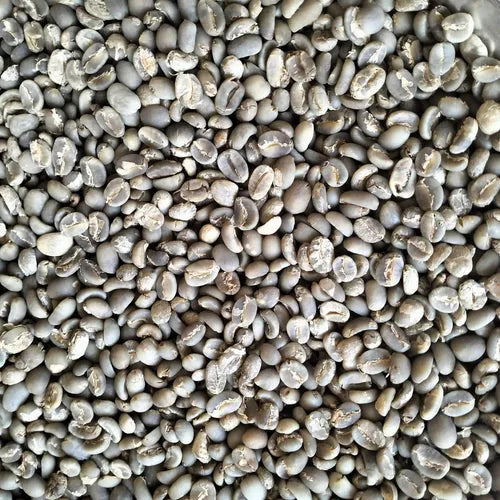 Arabica Sumatra Gayo – Specialty Grade 1