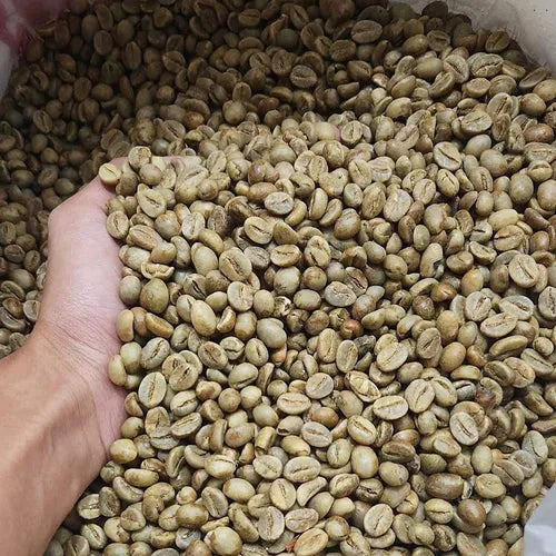 Robusta Java Grade 2