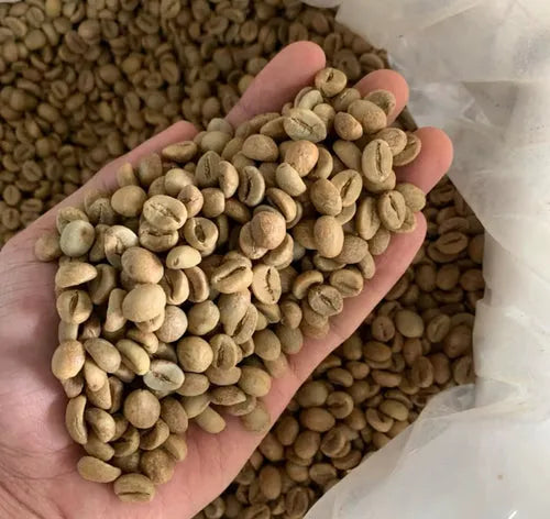 Robusta Java Grade 3