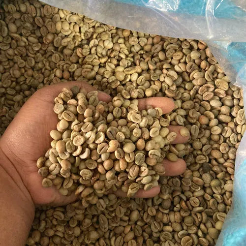 Robusta Lampung Grade 1