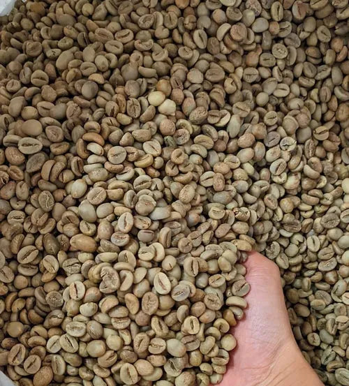 Robusta Lampung Grade 2