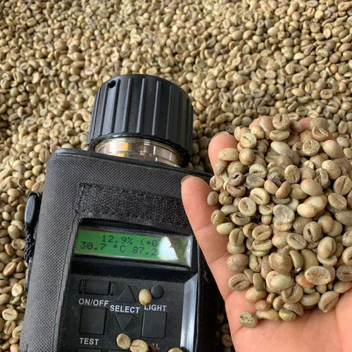 Robusta Lampung Grade 3